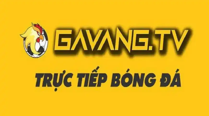Gà Vàng TV – Kênh TTBD dự đoán tỷ số bằng số liệu thực tế nhất