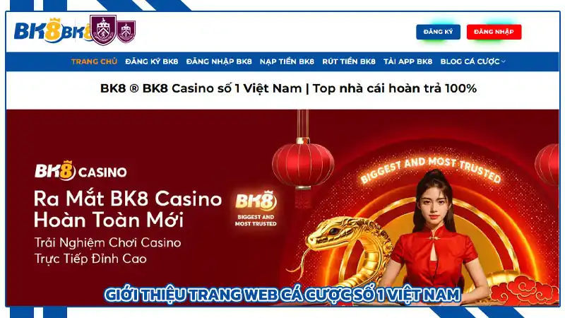 Những Tính Năng Nổi Bật Trên Nền Tảng BK8